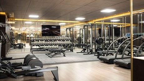 Lanesborough Club Spa Gym