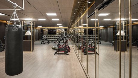 The Lanesborough Club & Spa London Gym